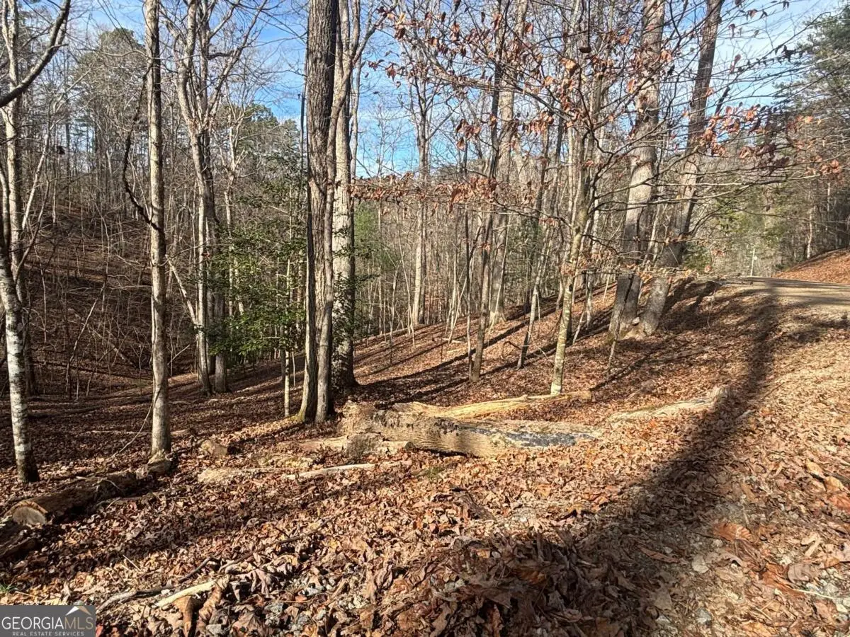 LT 727 Armor Court, Ellijay, GA 30540 - #1