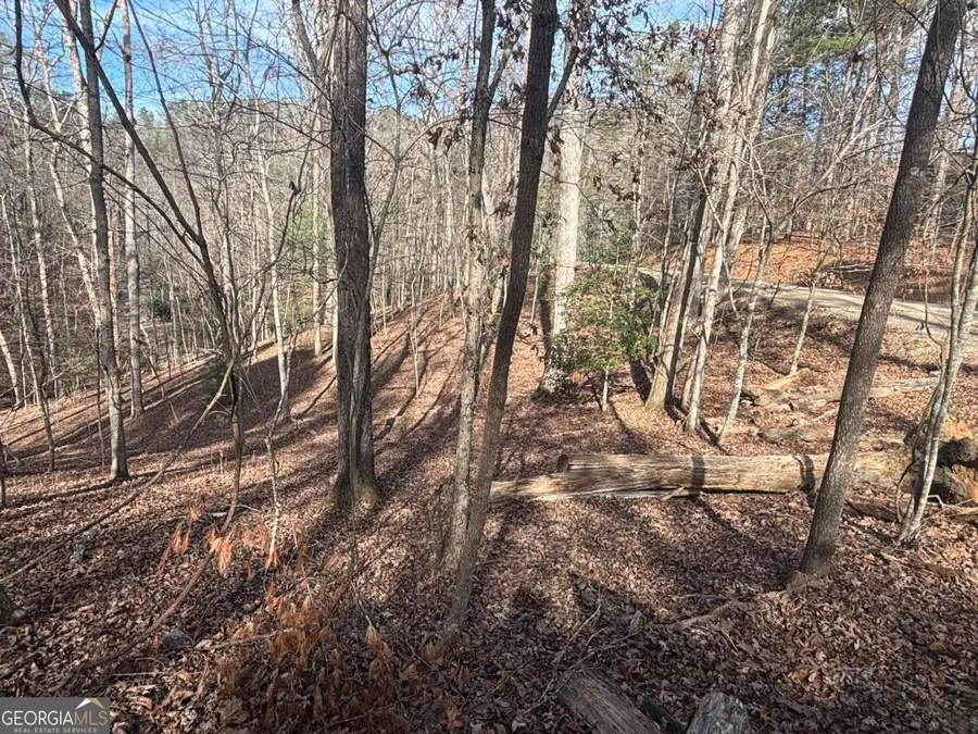 LT 727 Armor Court, Ellijay, GA 30540 - #2