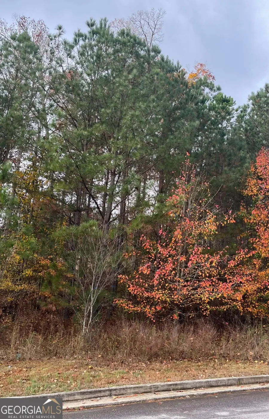 1075 Falkirk Lane, Stone Mountain, GA 30087 - Image #2