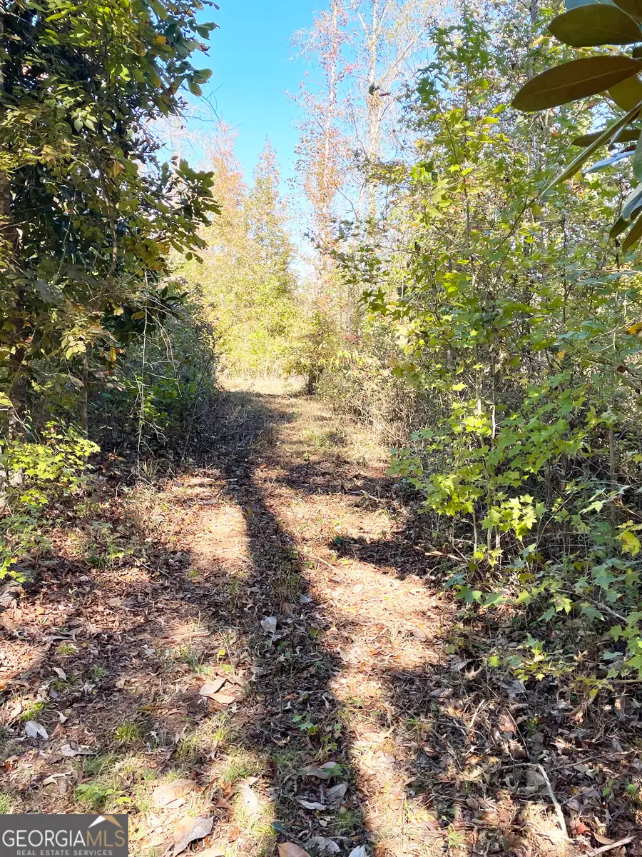 0 S Highway 36, Jackson, GA 30233 - Image #3