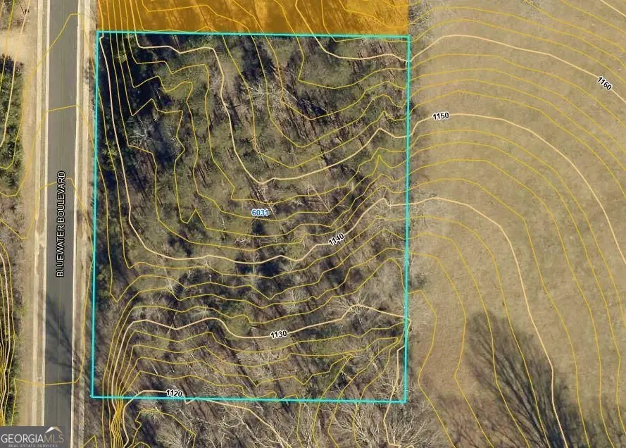 6031 Bluewater Boulevard, Gainesville, GA 30506 - Image #2