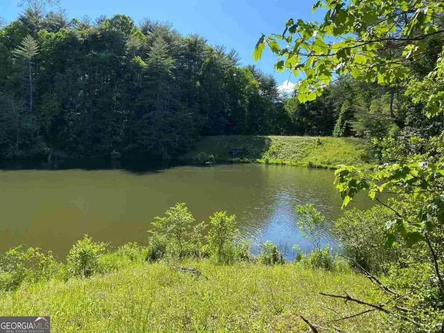 0 Oak Forest Drive, Clarkesville, GA 30523 - Image #3