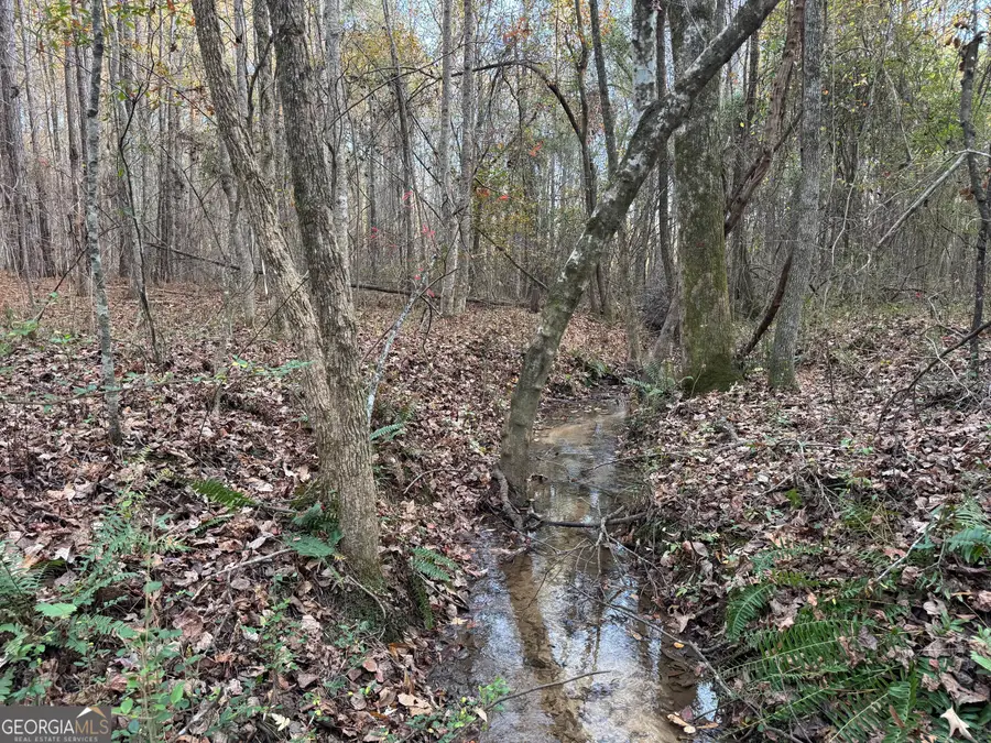 0 Ga Highway 34, Franklin, GA 30217 - Image #3