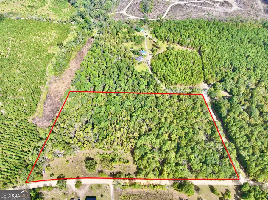 0 Eugene Ward Road, Adrian, GA 31002 - Image #2