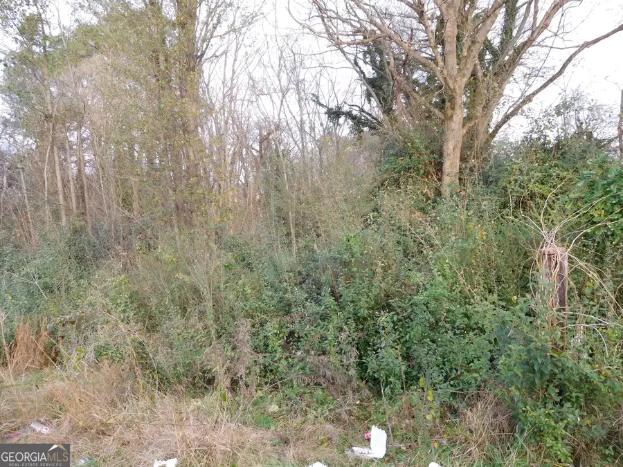 0 Forrest Avenue, Rockmart, GA 30153 - Image #2