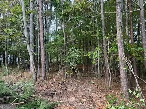 21 Skyline Drive, Braswell, GA 30153