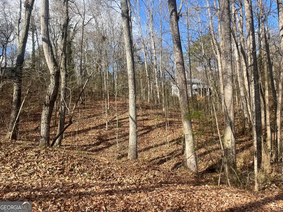 0 Tomahawk Terrace, Gainesville, GA 30506 - Image #2