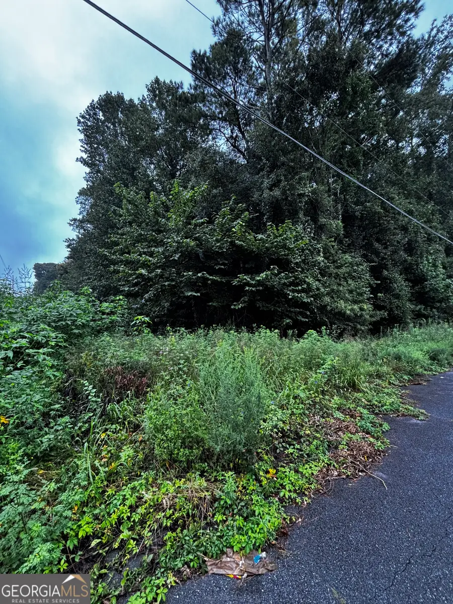 8224 Freestone Drive, Jonesboro, GA 30236 - Image #2