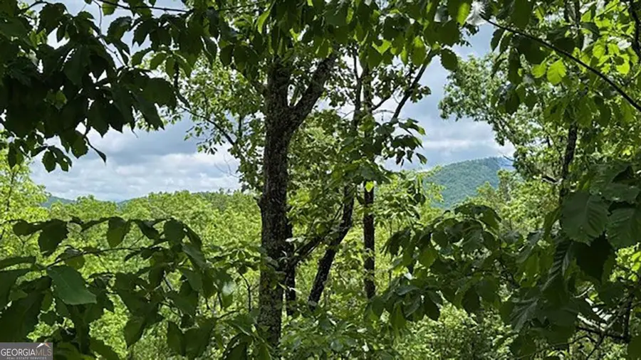 108 Crabapple Lane, Mineral Bluff, GA 30559 - Image #2