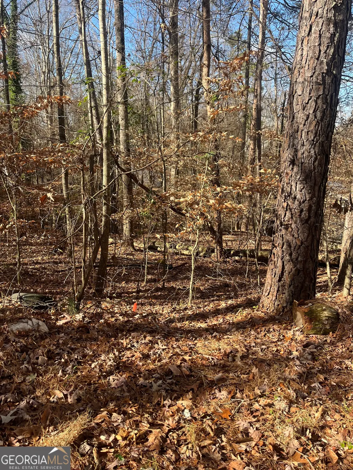 0 Continental Trail, Gainesville, GA 30506 - Image #1