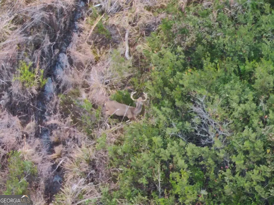 5321 Irma Lee Lane, Tarrytown, GA 30470 - Image #3