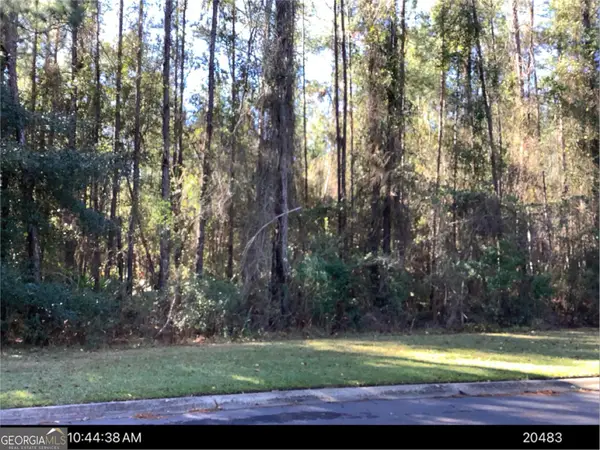 0 Secret Cove Road, Woodbine, GA 31569