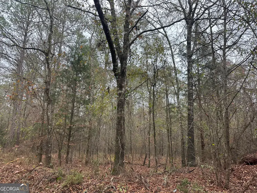 1049 Kelly Road, Talbotton, GA 31827 - Image #2