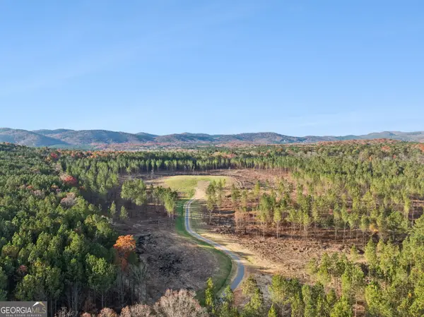 0 Ben Mosley Circle, Summerville, GA 30747