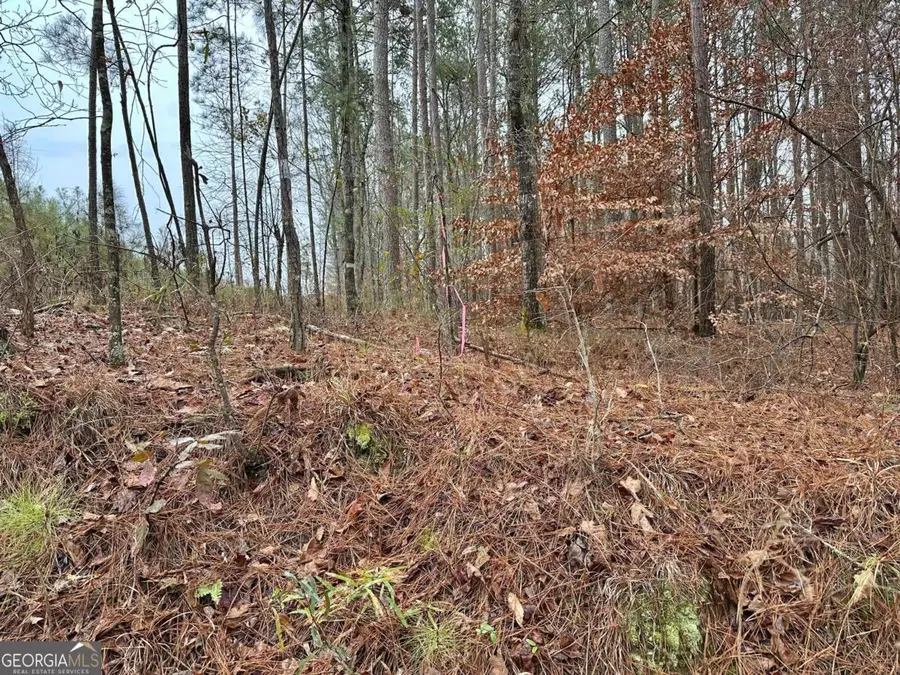0 County Road 59, Heflin, AL 36264 - Image #2