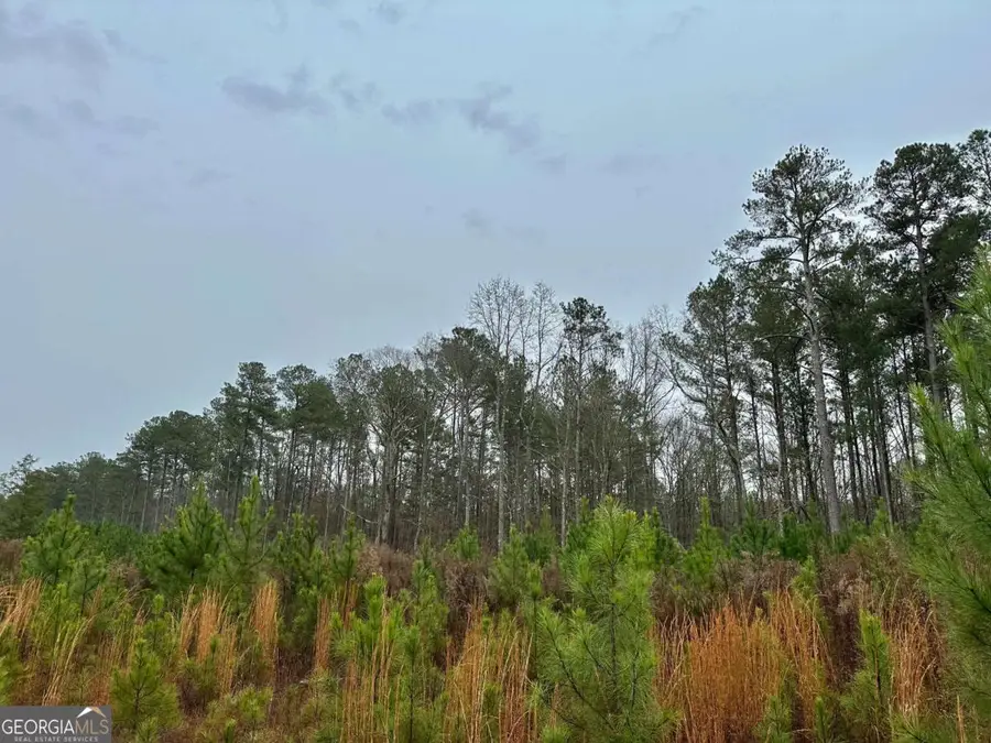 0 County Road 59, Heflin, AL 36264 - Image #3