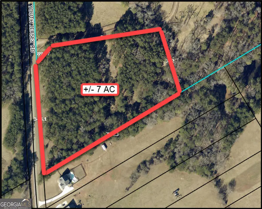 +/- 7 ACRES Youth Jersey Rd, Covington, GA 30014 - Image #2