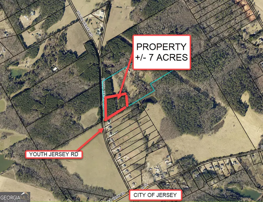 +/- 7 ACRES Youth Jersey Rd, Covington, GA 30014 - Image #3