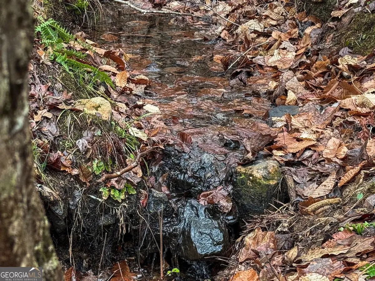 77 Observation Way, Dallas, GA 30132 - #1