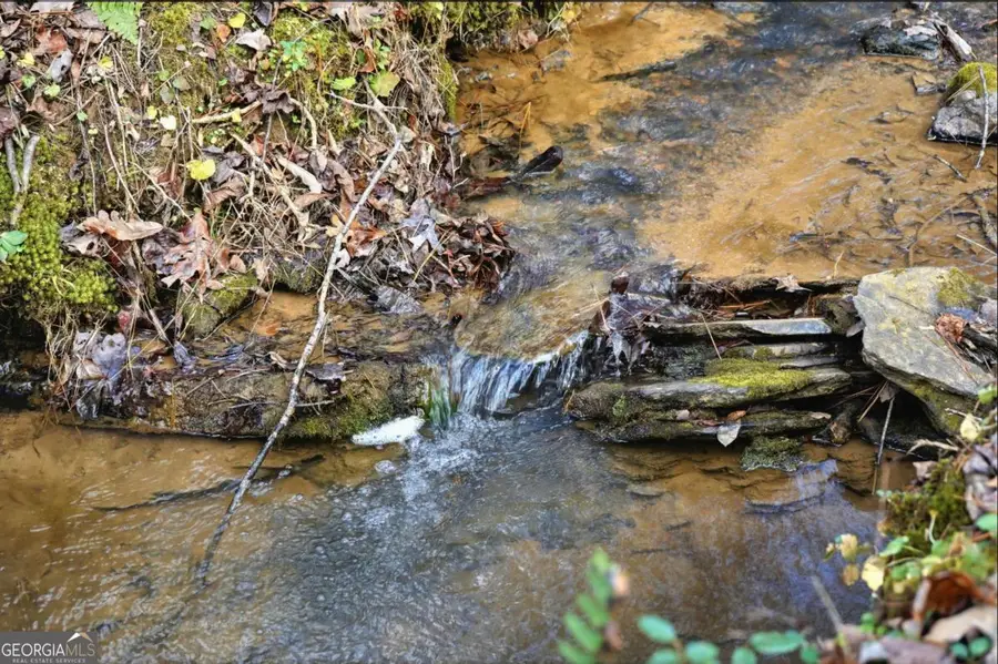 677 Catawba Circle, Ellijay, GA 30540 - #2