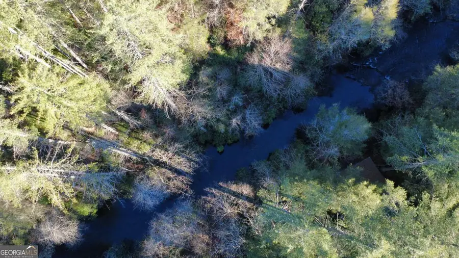 38 Sweetwater Trail #38, Epworth, GA 30541 - Image #3