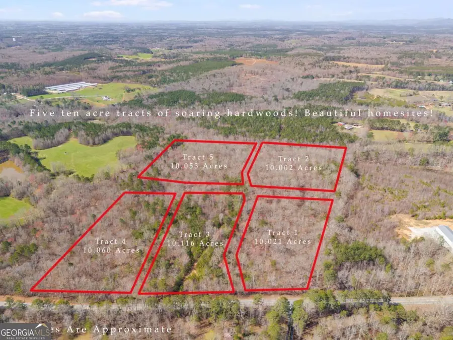 TRACT5 Georgia Highway 100, Buchanan, GA 30113 - #2