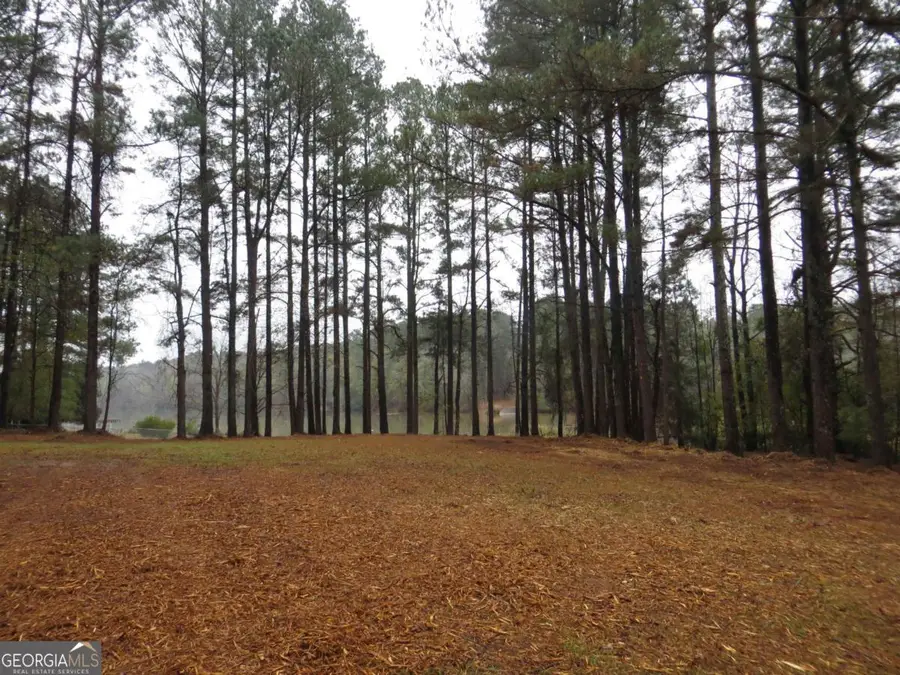 LOT 10 Sugar Creek Trail #LOT 10, Buckhead, GA 30625 - Image #3