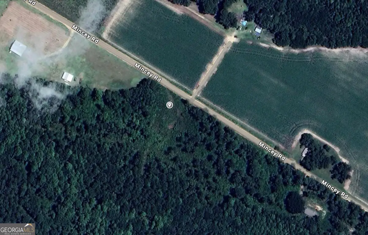 0 Mincey Road, Brooklet, GA 30415 - Image #1