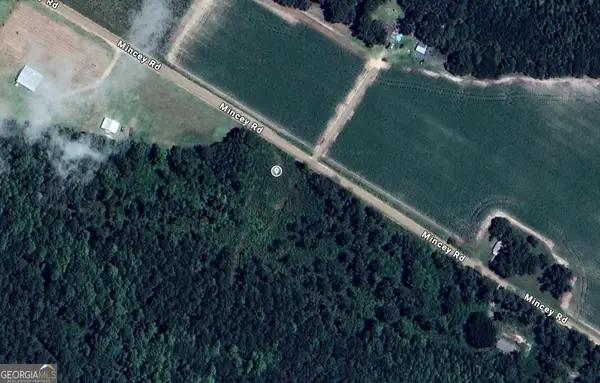 0 Mincey Road, Brooklet, GA 30415