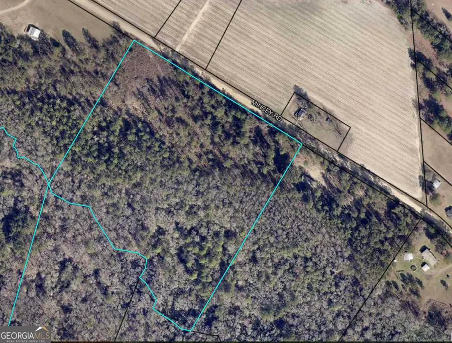 0 Mincey Road, Brooklet, GA 30415 - Image #2