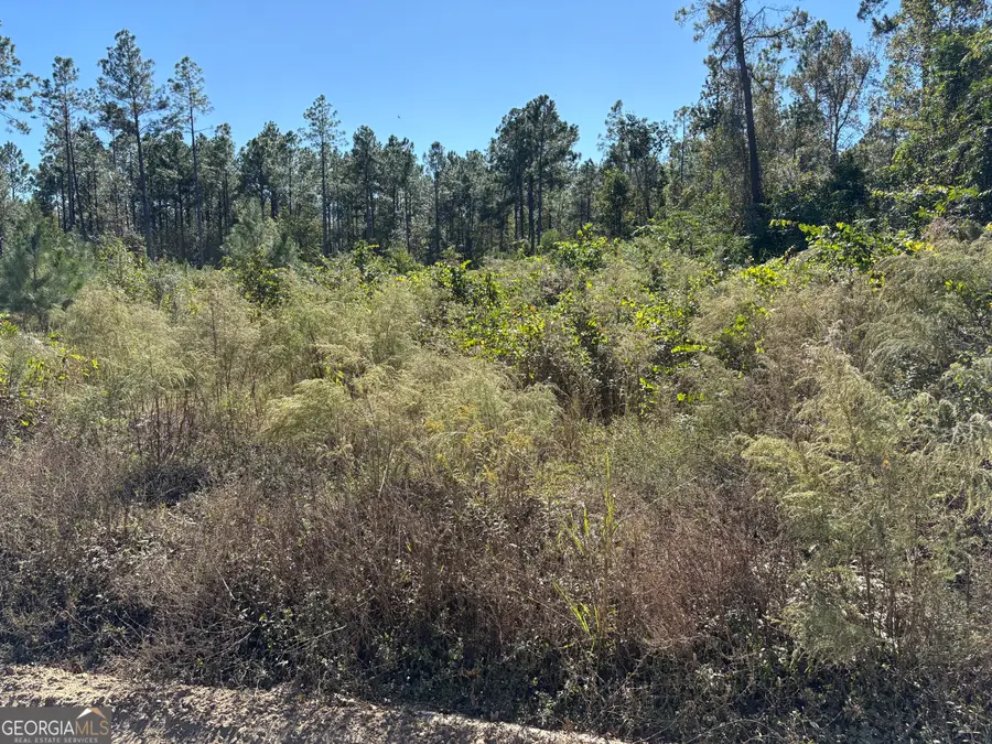 0 Mincey Road, Brooklet, GA 30415 - Image #3