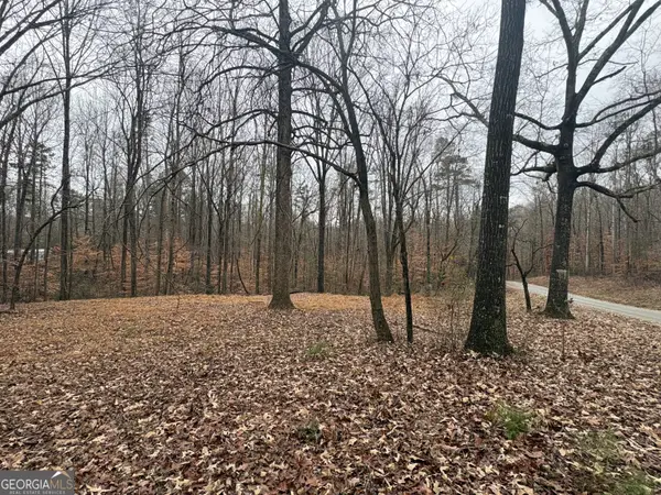 910 Lewis Drive, Lavonia, GA 30553