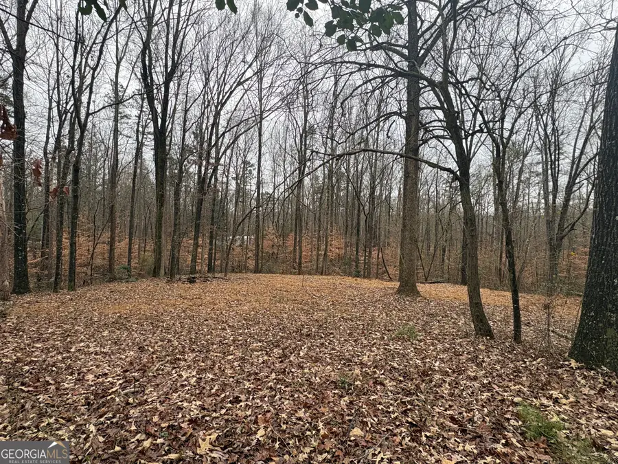 910 Lewis Drive, Lavonia, GA 30553 - Image #2