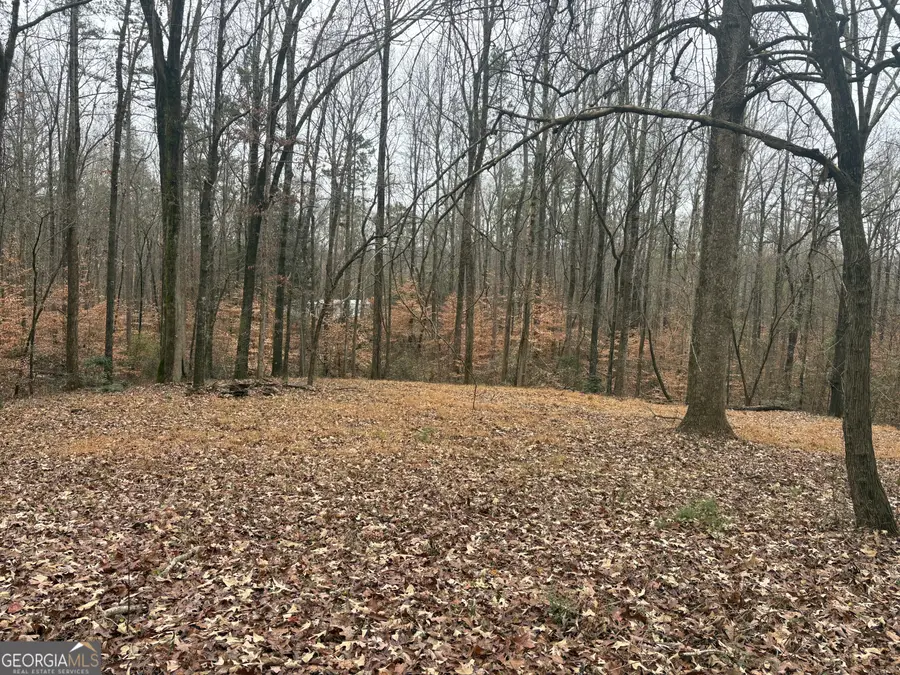 910 Lewis Drive, Lavonia, GA 30553 - Image #3