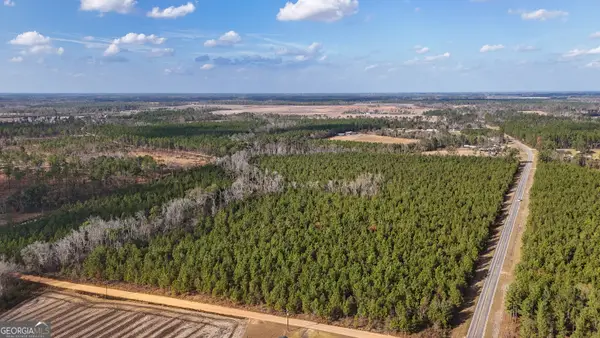 0 Herrington Road, Baxley, GA 31513