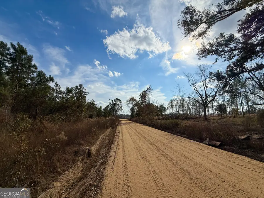 0 Herrington Road, Baxley, GA 31513 - Image #3