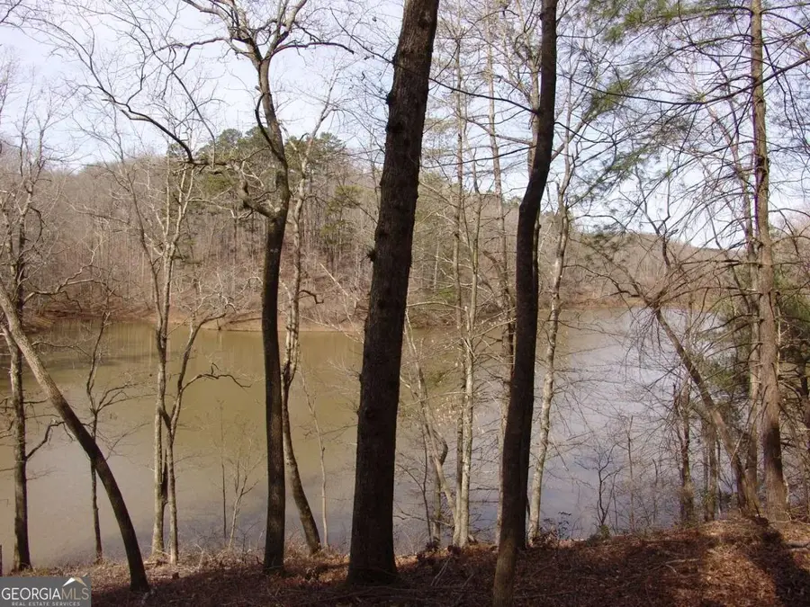 363 Lake Road, Dawsonville, GA 30534 - #2