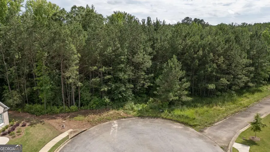 462 Manchester Lane, Villa Rica, GA 30180 - Image #3