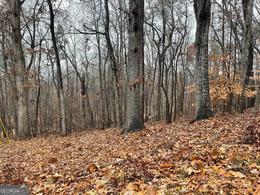 0 S Arrowhead Drive #LOT 2134, Westminster, SC 29693 - Image #3