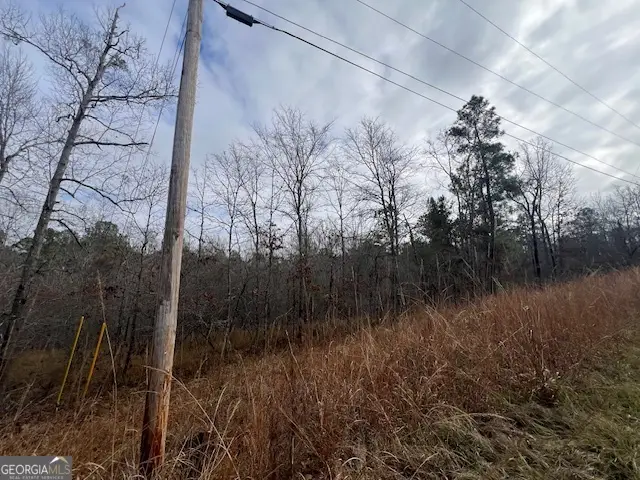 0 Sunshine Drive, Sparta, GA 31087 - Image #2