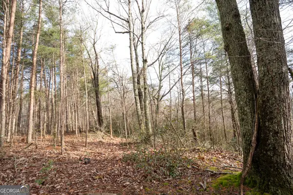 1 Amber Court, Jasper, GA 30143