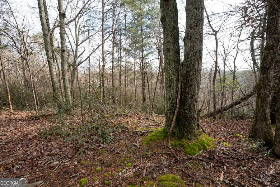 1 Amber Court, Jasper, GA 30143 - Image #3