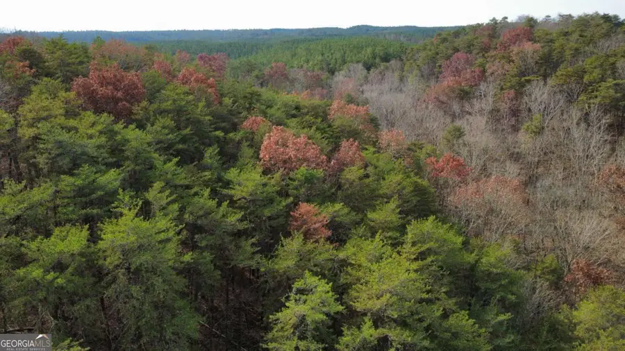 TRACT 30 Deerfield Estates, Fairmount, GA 30139 - Image #2