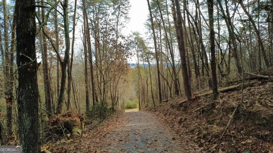 TRACT 30 Deerfield Estates, Fairmount, GA 30139 - Image #3