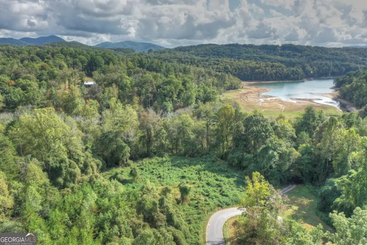 6.4 ACRE Collins Road, Morganton, GA 30560 - Image #1