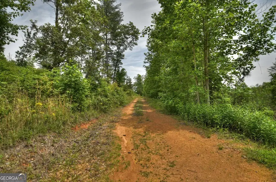 LOT 1 Hidden Acres #1, Blue Ridge, GA 30513 - Image #2