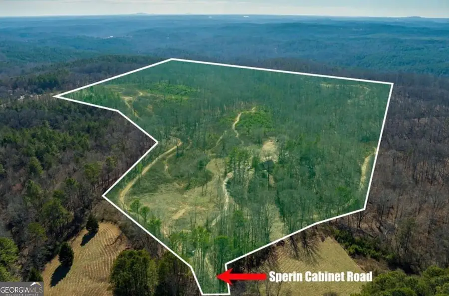 170 Sperin Cabinet Road, Ball Ground, GA 30107 - Image #3