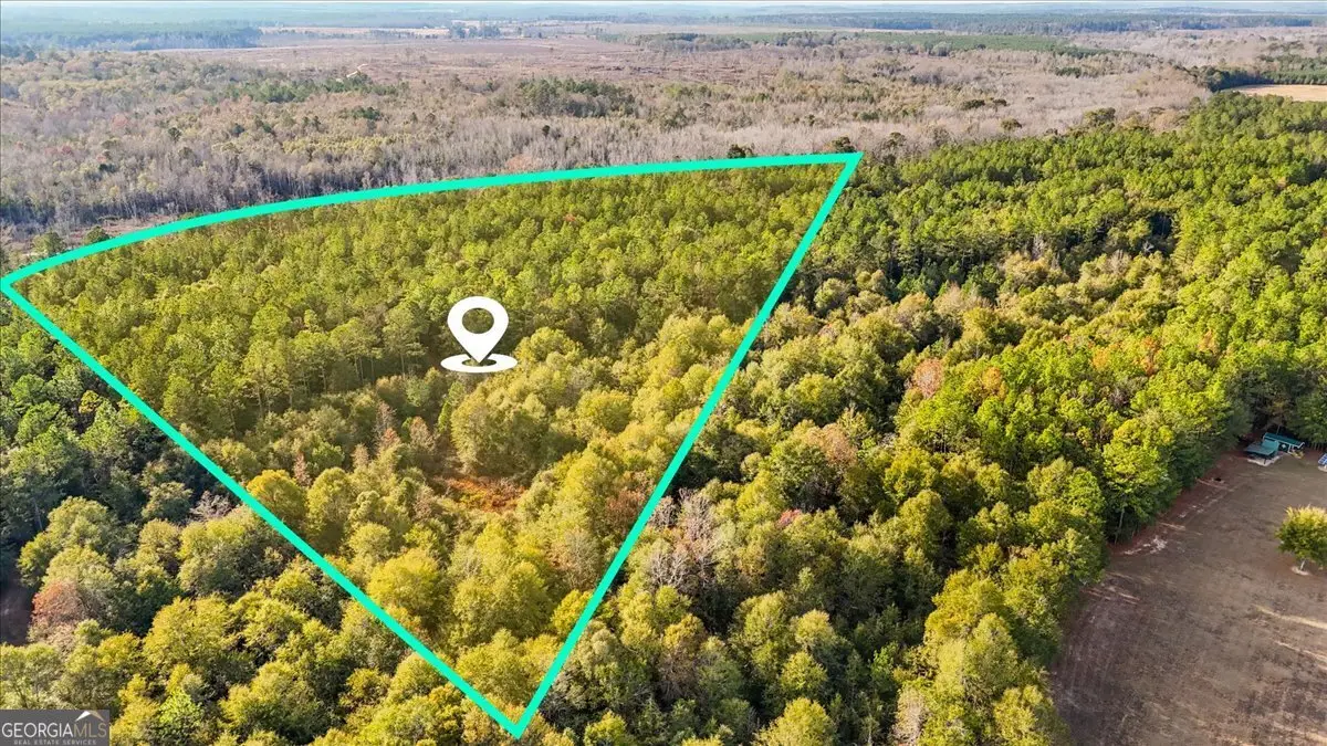 0 Massey Road, Tennille, GA 31089 - Image #1