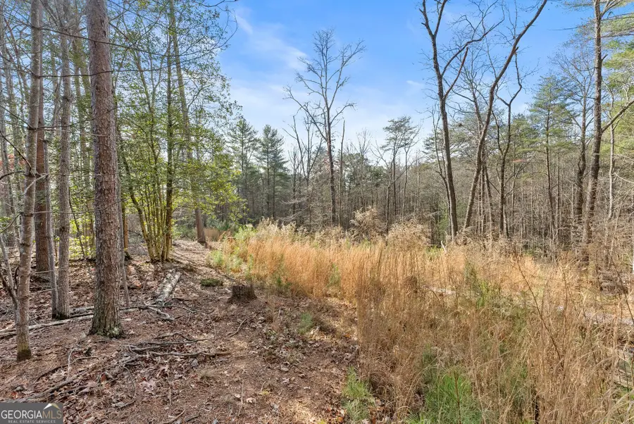 1361 Soque Ridge Circle, Demorest, GA 30535 - Image #3