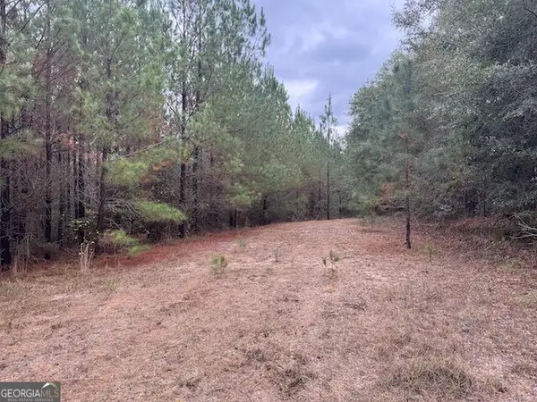 60.06 AC. Daisy Walker Road, Tennille, GA 31089